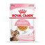 ROYAL CANIN Kitten Sterilised  w galaretce 24 x 85 g