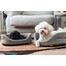 SIMPLY FROM NATURE conserves pour chiens 400 g 2+1 GRATUITE