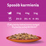 JOSERA Dog Festival dla wybrednych psów 15 kg + 2x900g GRATIS