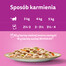 WHISKAS Tasty Mix Kremowe Wariacje z kurczakiem, jagnięciną i indykiem w sosie 4x85g
