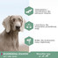 EUKANUBA Daily Care Adult Sensitive Joints 12 kg