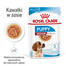 INABA CIAO Chicken fillet grilled - Filet de poulet dans un bouillon de coquilles Saint-Jacques - 25 g