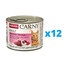 ROYAL CANIN Cat Gastro Intestinal - nourriture pour chats souffrant de maladies digestives - 24x85 g
