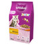 WHISKAS Junior Con Pollo 14kg