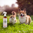 COMFY APPETIT PREMIUM Mousse à la dinde pour chats 12x85 g