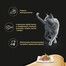 APPLAWS Cat Tin - Filet de thon en gelée - 12x(6x70g)