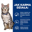Devon rex est un chat enjoué et plein d'énergie. Il aime passer du temps avec son maître - il se sent bien lors des promenades, aime jouer à la balle ou apprendre des tours.