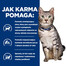 ADDVENA First Steps 20+ 10 kg karma sucha dla szczeniąt
