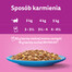 APPLAWS Cat Pouch mokra karma dla kota z piersią z kurczaka i wołowiną w galaretce 64 x 70 g