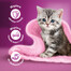 WHISKAS Junior bustina 52x85g di frittelle di pollame cibo umido per gattini in gelatina con: pollo, tacchino