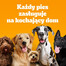 PEDIGREE Adult MINI 500g con pollame e verdure alimento secco completo per cani adulti di piccola taglia