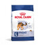 ROYAL CANIN Maxi Adult 4kg karma sucha dla psów dorosłych, do 5 roku życia, ras dużych