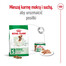 ROYAL CANIN Mini Adult 8kg karma sucha dla psów dorosłych, ras małych