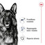 ROYAL CANIN Maxi Adult 10kg karma sucha dla psów dorosłych, do 5 roku życia, ras dużych