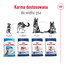 ROYAL CANIN Maxi Adult 4kg karma sucha dla psów dorosłych, do 5 roku życia, ras dużych