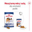 ROYAL CANIN Maxi Adult 10kg karma sucha dla psów dorosłych, do 5 roku życia, ras dużych
