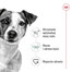 ROYAL CANIN Mini Adult 800g karma sucha dla psów dorosłych, ras małych