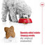 ROYAL CANIN Mini Adult 800g karma sucha dla psów dorosłych, ras małych
