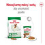 ROYAL CANIN Mini Adult 800g karma sucha dla psów dorosłych, ras małych
