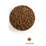 ACANA Adult Small Breed 340g