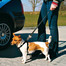 TRIXIE Longe courte pour harnais de voiture, 40-60 cm