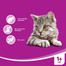 WHISKAS Anti-hairball 50g - pour éviter des boules des poils chez les chats