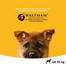PEDIGREE Junior grandes races avec du poulet 15 kg