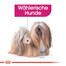 ROYAL CANIN Exigent nourriture humide - pâtée pour chiens adultes difficiles 85 g