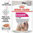 ROYAL CANIN Exigent nourriture humide - pâtée pour chiens adultes difficiles 85 g