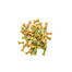 SIMPLY FROM NATURE Biscuits au curcuma 250 g