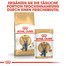 ROYAL CANIN British shorthair 34 10 kg