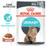 ROYAL CANIN Urinary Care 85g
