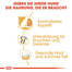 ROYAL CANIN Labrador retriever adult sterilised 12 kg