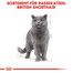 ROYAL CANIN British Shorthair 85g