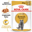 ROYAL CANIN British Shorthair 85g