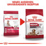 ROYAL CANIN Medium ageing 10 15kg