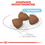 ROYAL CANIN Medium starter mother & babydog 4kg