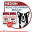 ROYAL CANIN Medium ageing 10 15kg