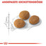 ROYAL CANIN Exigent aromatic attraction 33 10 kg