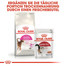 ROYAL CANIN Exigent aromatic attraction 33 10 kg