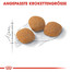 ROYAL CANIN Exigent protein preference 42 10 kg