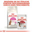 ROYAL CANIN Exigent protein preference 42 10 kg