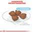 ROYAL CANIN Mini starter mother & babydog 1 kg