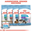 ROYAL CANIN Mini starter mother & babydog 1 kg