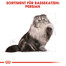 ROYAL CANIN Persian 10 kg