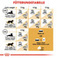ROYAL CANIN Persian 10 kg
