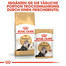 ROYAL CANIN Persian 10 kg