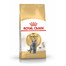 ROYAL CANIN British shorthair 0.4 kg