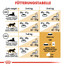 ROYAL CANIN British Shorthair 0.4 kg
