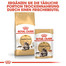 ROYAL CANIN Maine coon 10 kg